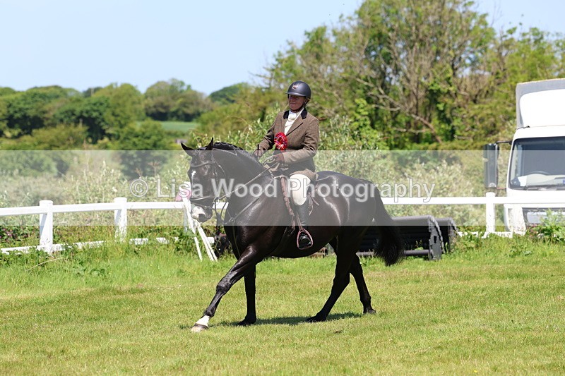 3E7A7437 - Class 30: Novice Working Hunter