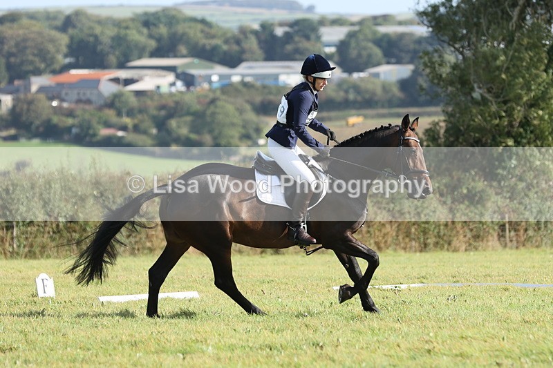 JPP_8003 - Class 2A: Trekenning Open: Dressage