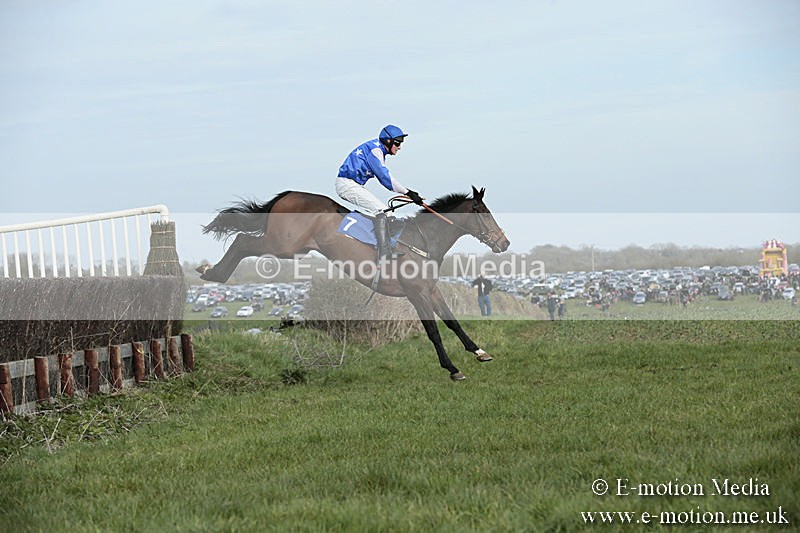 PtP 230319 373 - VWH Hunt Siddington Point-to-Point Racing 23/03/19