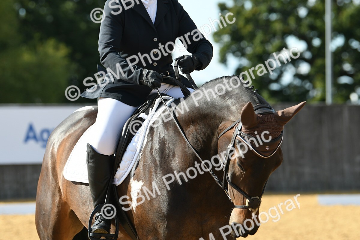 SBM_27024 - D16 - Small Tour Championship - Novice 28