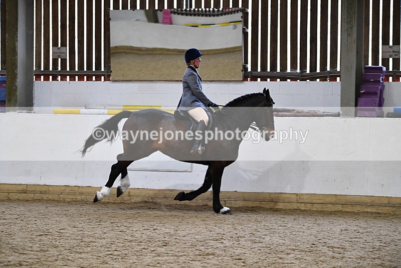 WJ5_7783 - Class 13 Ridden Part Breed
