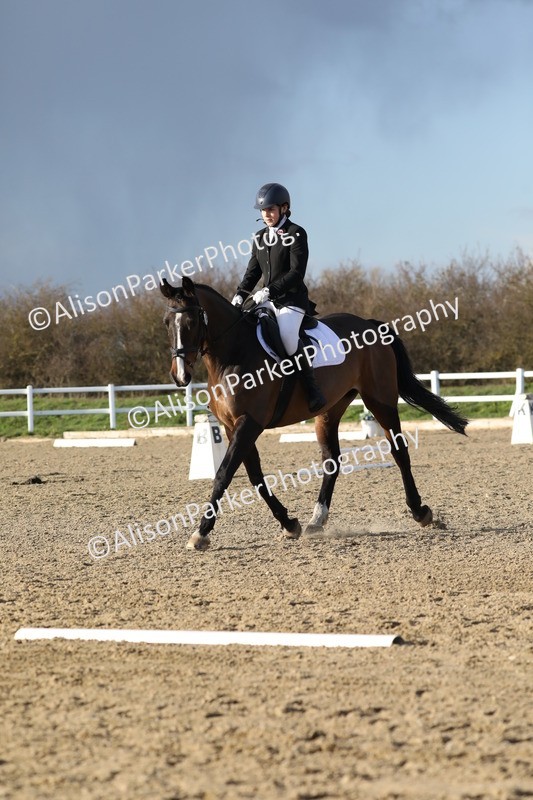 20260314-5939 - DR9 - PYO