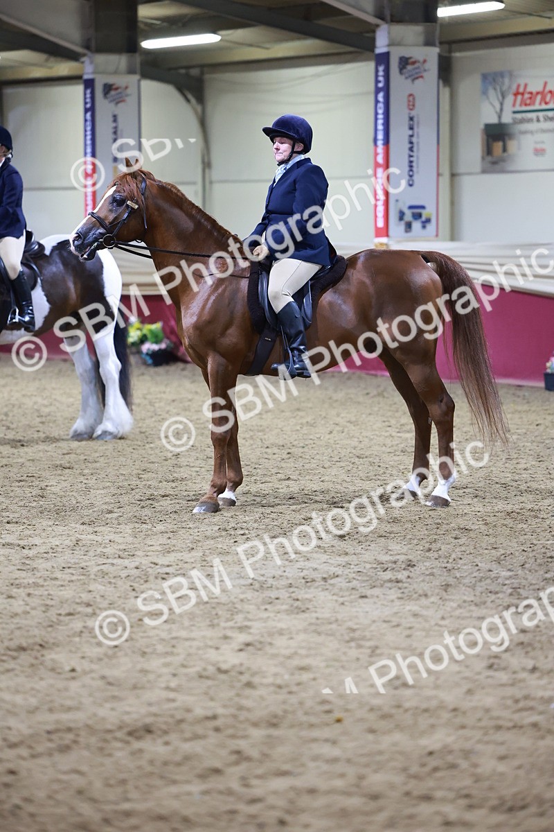 SBM_21291 - Class S - Style & Performance Champ