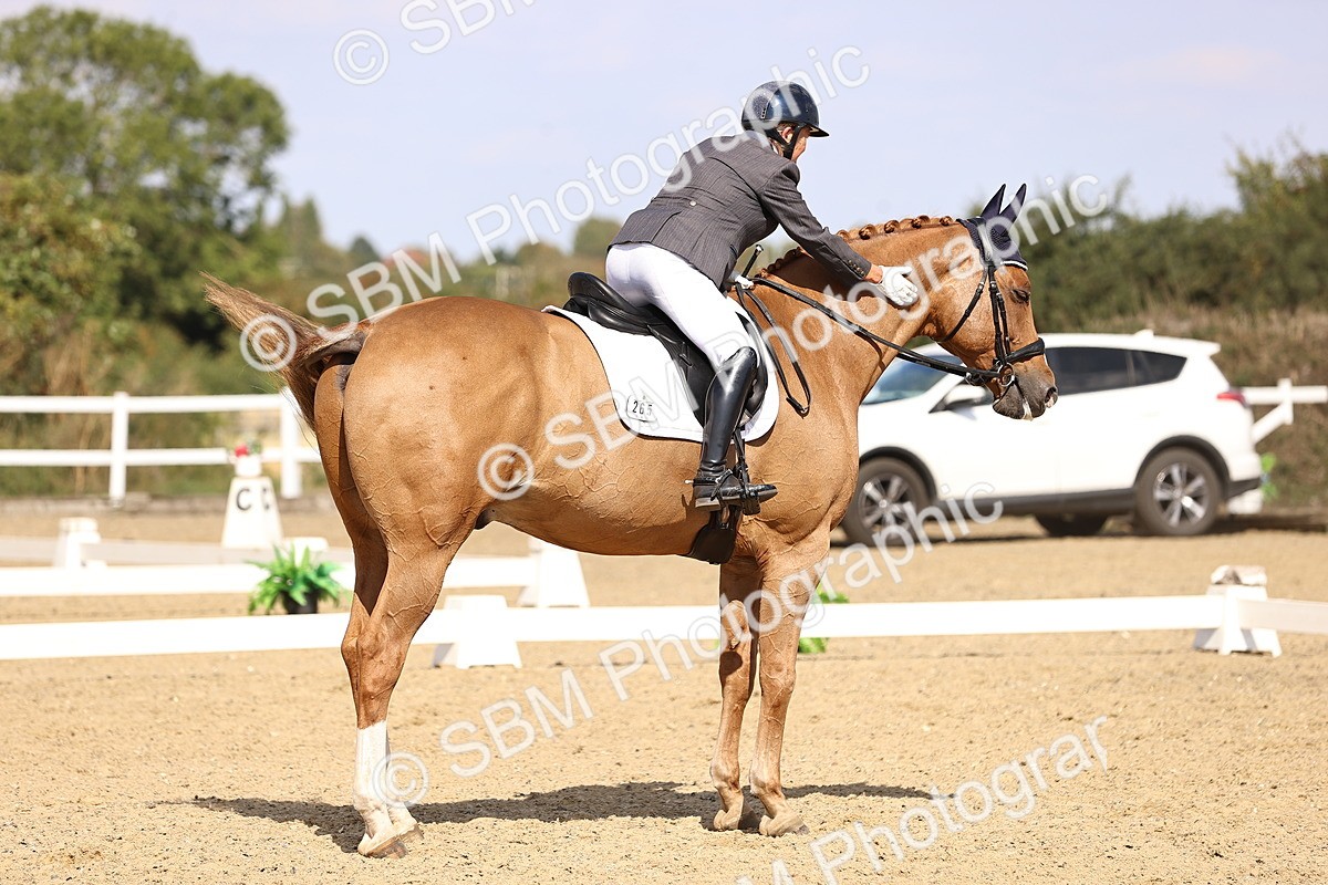 SBM_015099 - Class 6 - Elementary 5