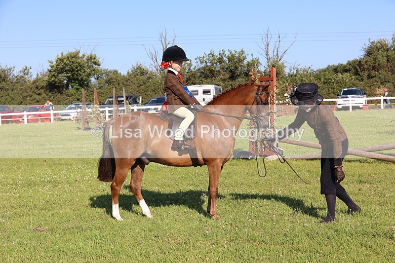 JPP_0884 - Class 16: Cornish Combination Leading Rein