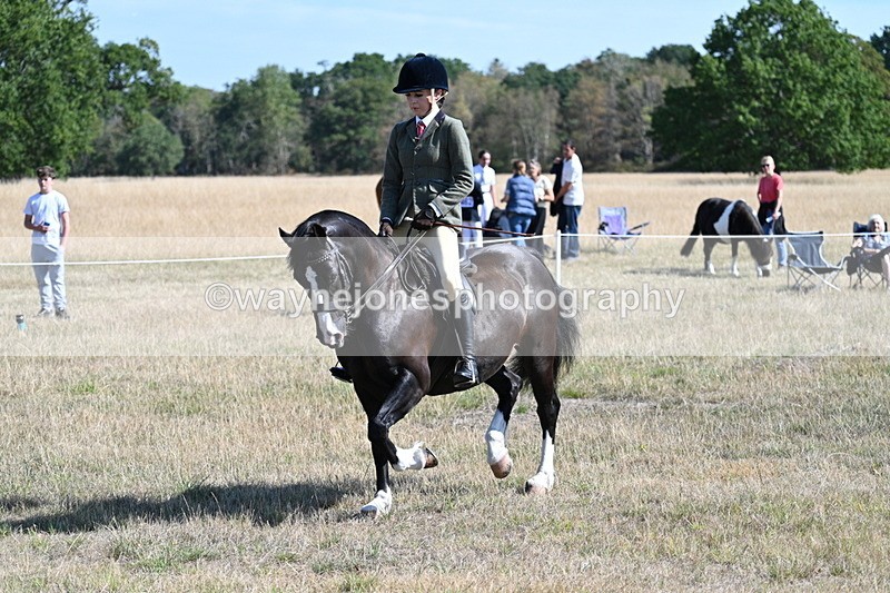 WJ7_3686 - Class 9 Mountain & Moorland Ridden