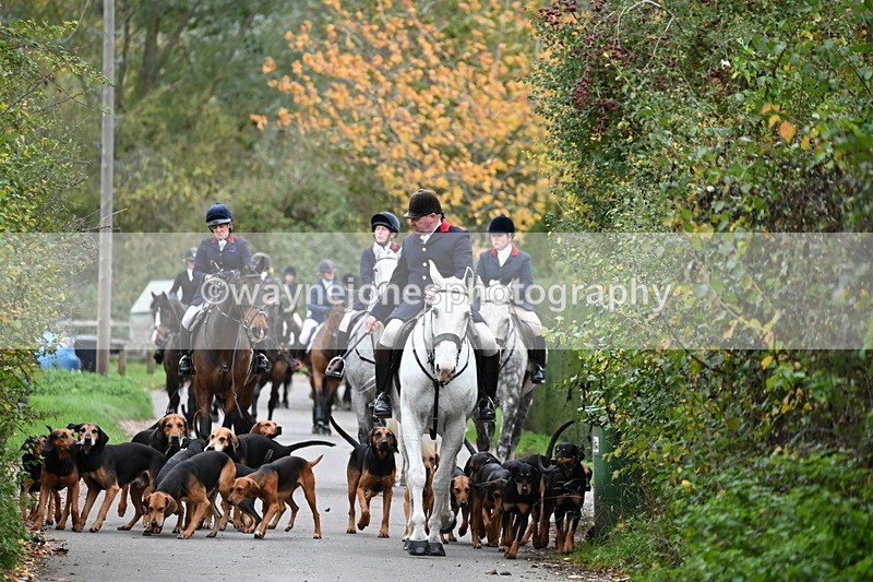 WJ6_8308 - Walk Home..