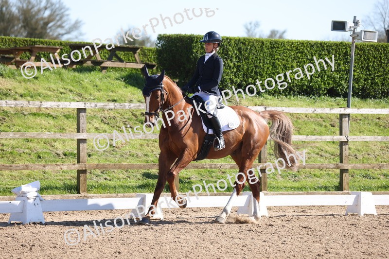 20260318-0535 - Class 5 - Novice 2