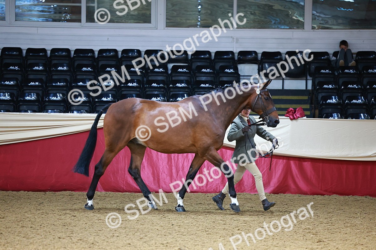 SBM_22369 - Class 902 - Supreme Final - IH Diamond