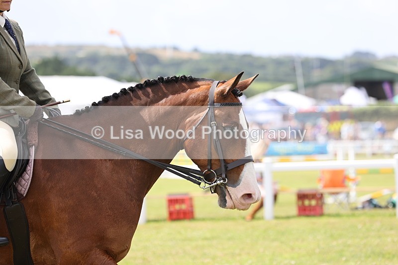 JPP_1279 - Class 17: Cornish Combination Open