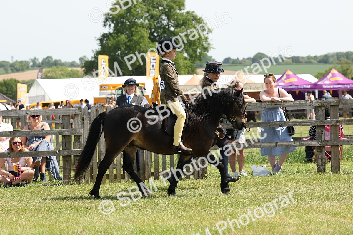 SBM_05203 - Class 24-25 - Mountain & Moorland In Hand Lead Rein and First Ridden