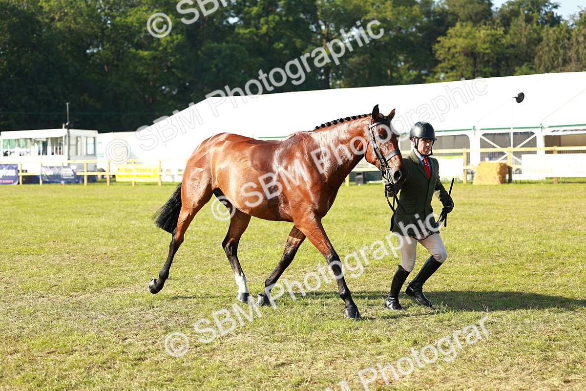 SBM_10796 - Class 66-69 - RIHS Ridden Hunters Inc Small Hunter