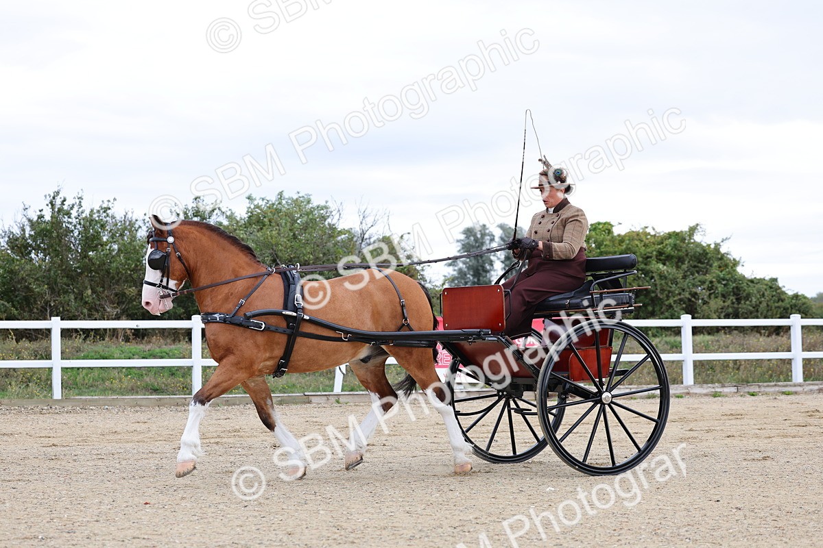 SBM_000286 - Class 2 - Exercise Vehicle 13.2hh & Under