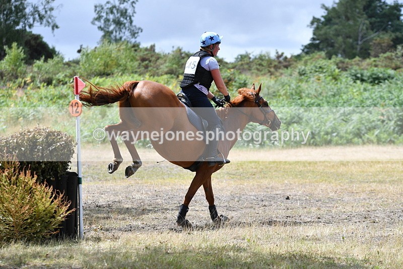 WJ5_2047 - XC Time 12:56 to 13:21