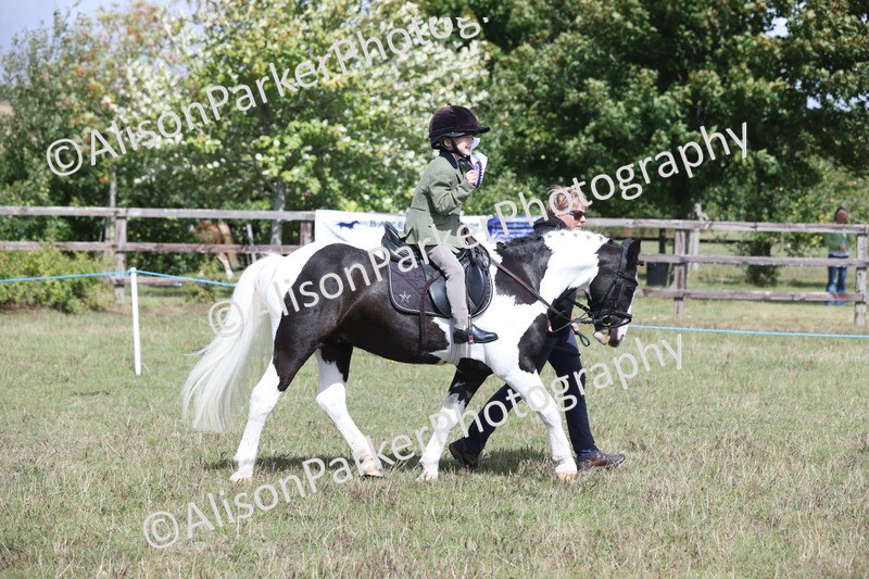 20250831-2787 - Class 17 - Lead Rein Pony