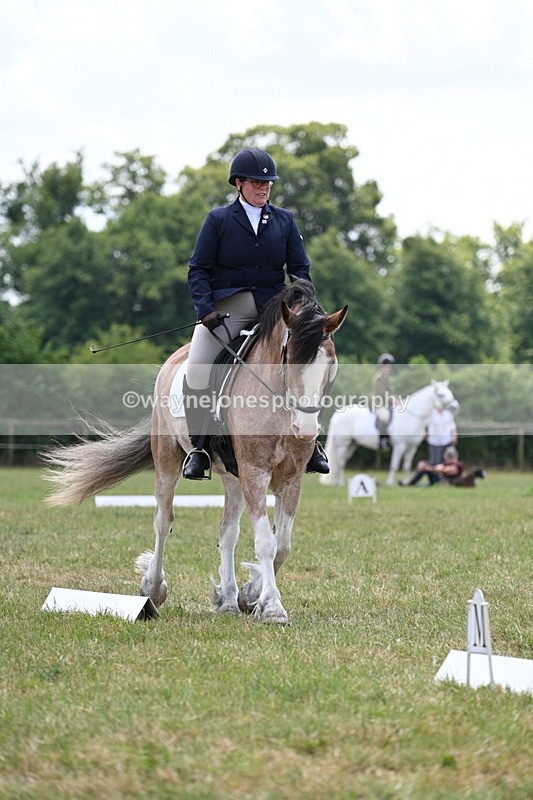 WJ7_8139 - Time 13:35 to 13:40