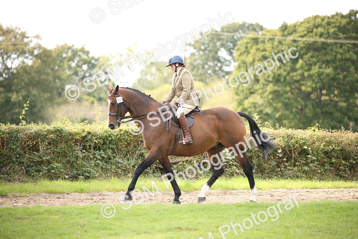 SBM_70387 - S66 - Hunter Ridden