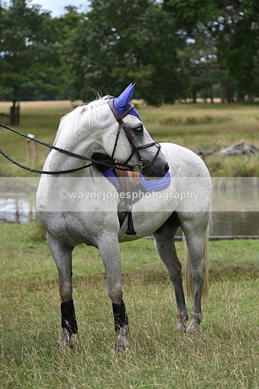 WJ7_4015 - Time at Water 12:52 to 13:22