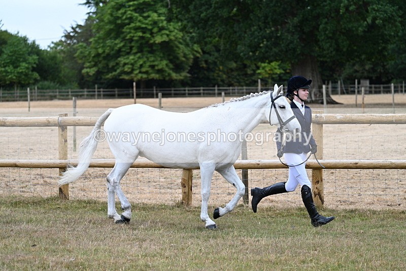 WJ7_8815 - Class 4a Prettiest Mare 14.2hh and over