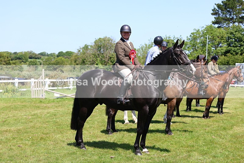 3E7A7390 - Class 30: Novice Working Hunter