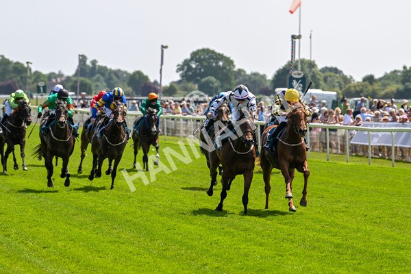 130625-Race 2-Carnation Queen-8623 - Race 2 2.25pm Coopers Marquees Rous Selling Stakes