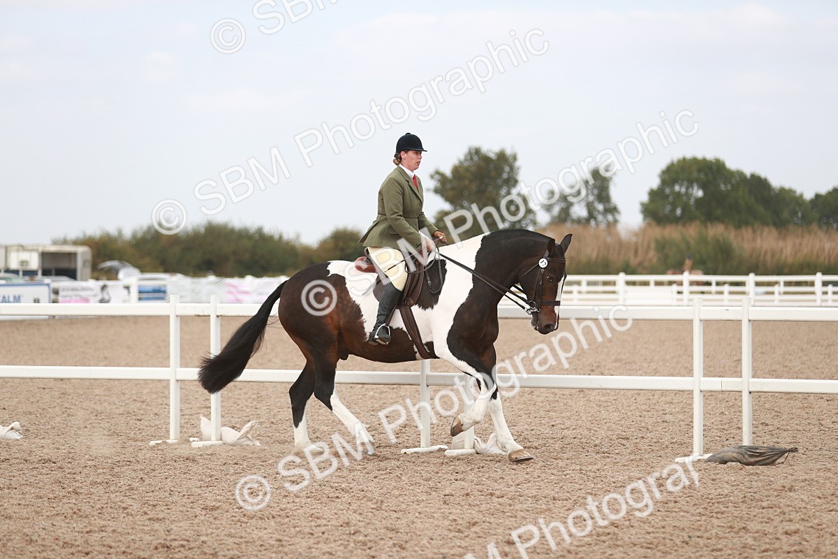 SBM_16680 - Class 214 Ridden Cob
