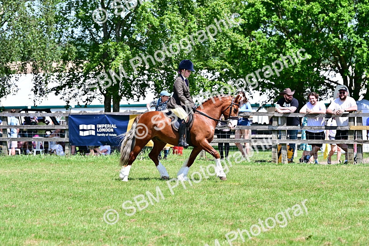 SBM_15406 - Class 95-97 - BSPS LHS Performance Ponies