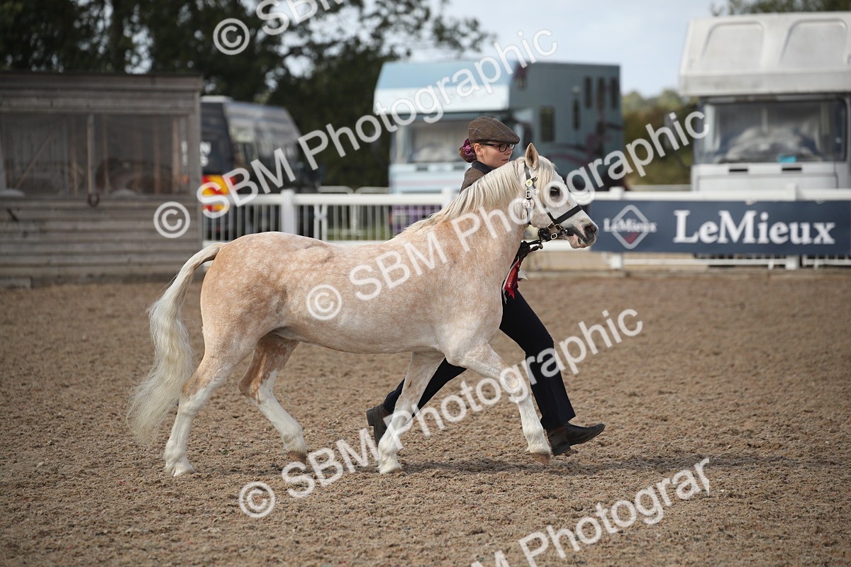 SBM_23492 - Class 604 - 2026 - Area IH Diamond