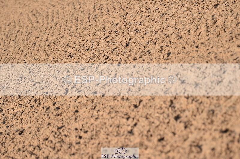 231015A-094202-06773 - Cls 22 British Novice & 90cm Open