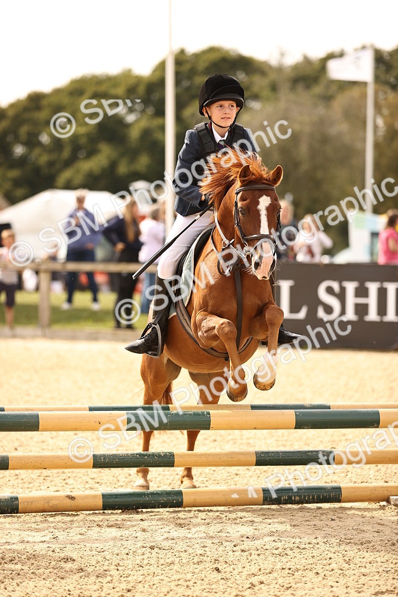 SBM_66807 - J13 - Junior Pony 60cm Championship