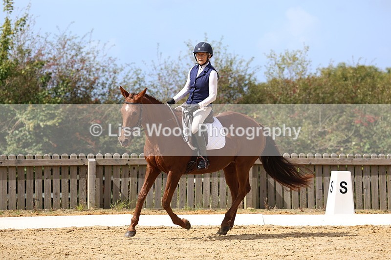 3E7A4025 - Class 9: Novice 6 Section B Championship