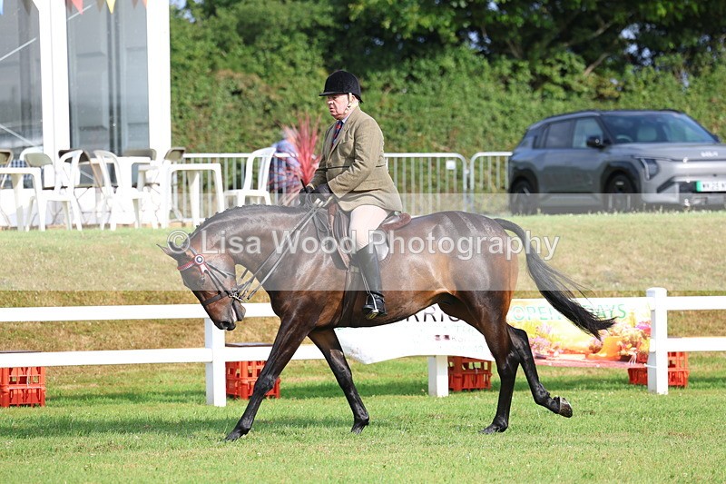 3E7A8190 - Class 2: Rising Star Large Hack/Riding Horse