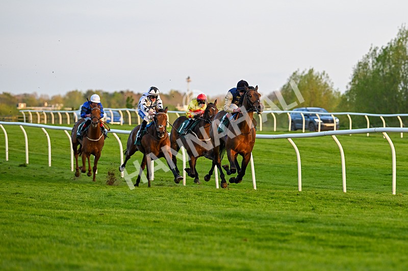 300424-Race 6-Kodi Lion-3071 - Race 6