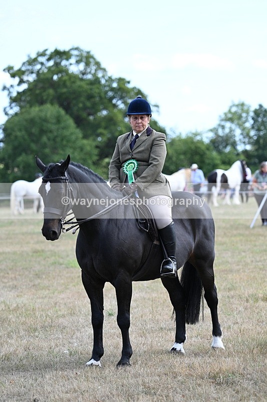 WJ7_6366 - Class 13 Ridden Veterans