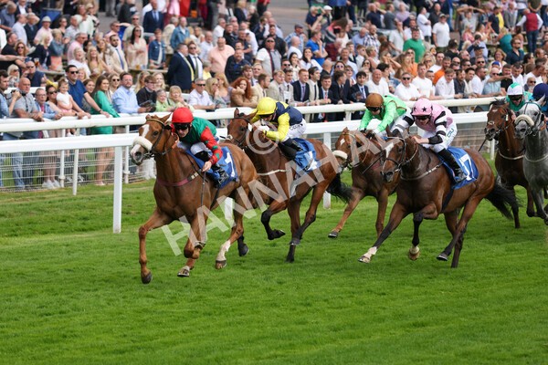 yr10062022r5-20 - Race 5 4.05pm Irish Thoroughbred Marketing Stakes