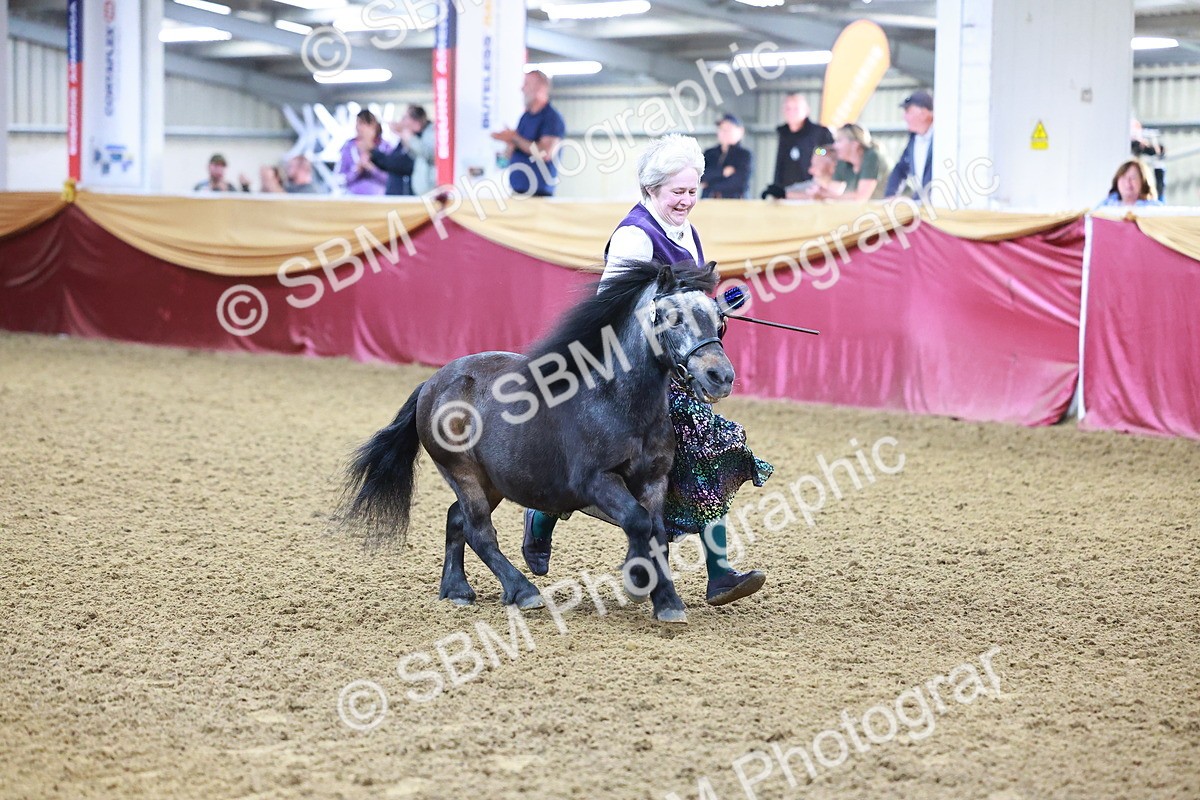 SBM_14762 - Class C - Novelty champ