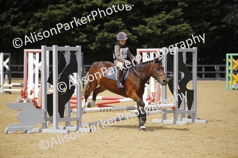 20250622-4086 - 50cm