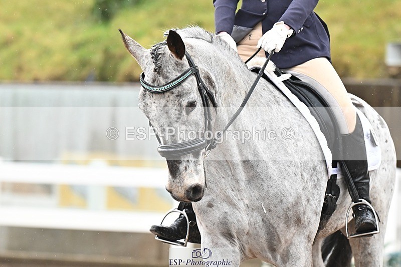 250215-125714-03770 - 206-Kelly.Raymont-Llanthony.Erehwon