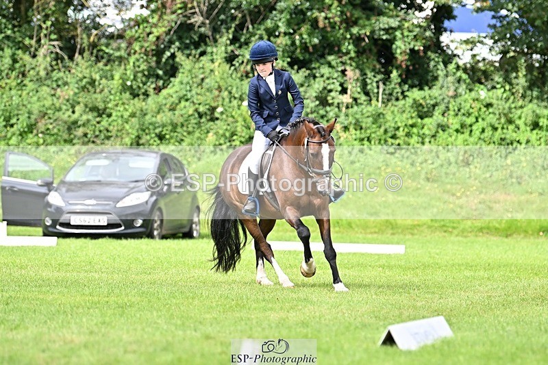 230826-112425-16975 - Sections A & B 10 to End