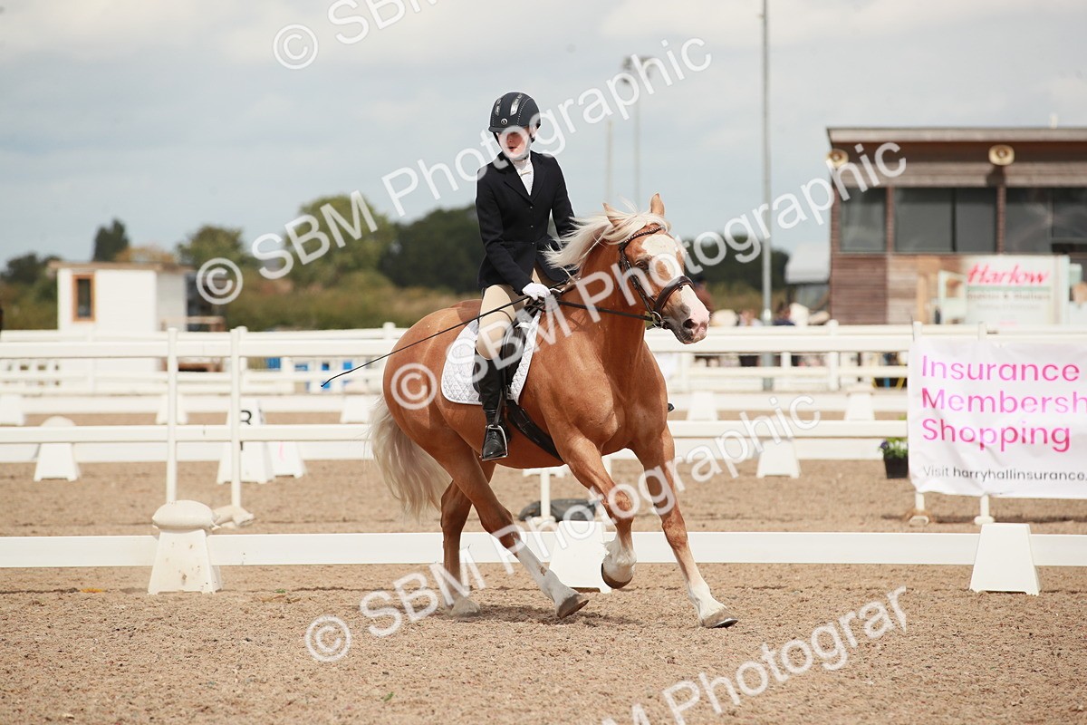 SBM_05892 - Class 32 - Novice 1