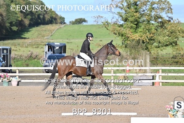 BPP_8301 - SHORT ARENA INTRO 1