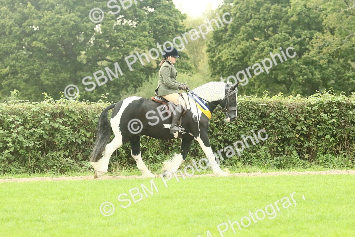 SBM_75157 - Super Supreme Championship