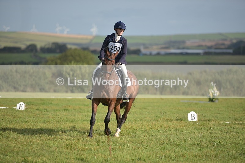 RAY_7268 - Class 2B: Trekenning Open: Dressage