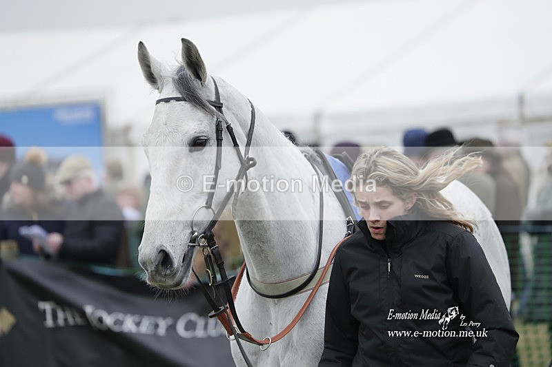 PtP 040323 512 - Duke of Beauforts Hunt Point-to-Point Didmarton 04/03/23