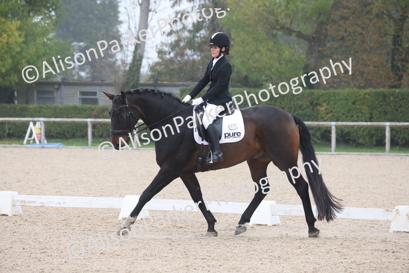 20251012-0458 - Class 3 - Novice 5