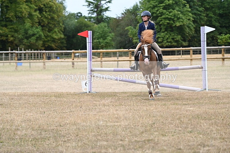 WJ6_0621 - Class 14 Intermediate Jumping 75cm