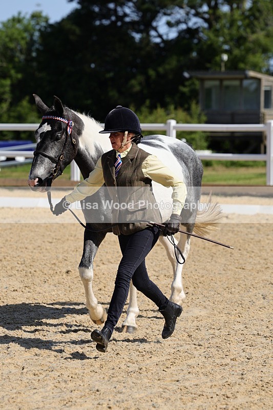 1X9A0753 - Class 4: Youngstock 1, 2, 3 year old to exceed 153cm