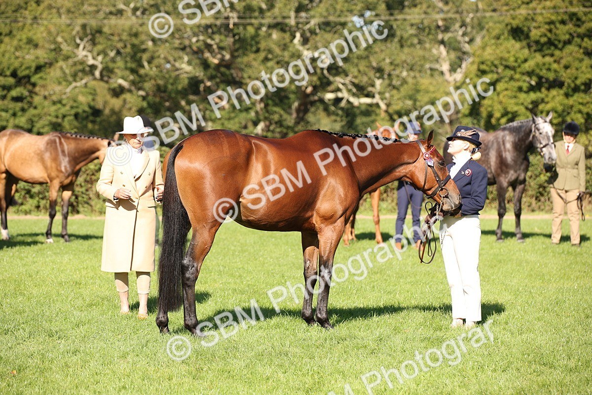 SBM_36634 - S10 - Best In Hand Horse & Pony