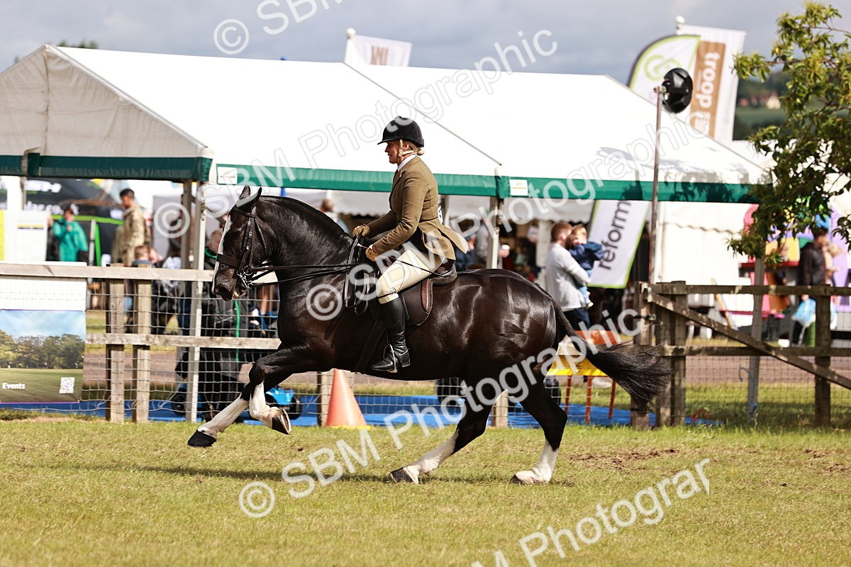 SBM_13116 - Class 85-87 - RIHS Cobs