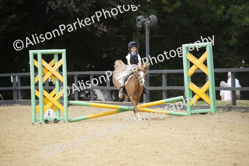 20250622-4609 - 50cm